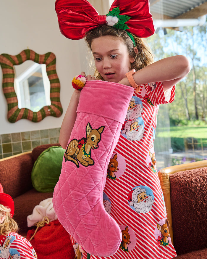 Rudolph Embroidered Velvet Stocking
