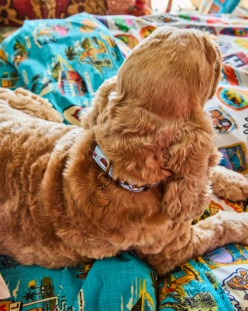 Kip&Co x Mambo Puppies Dog Collar
