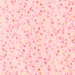Cupcake Sprinkle