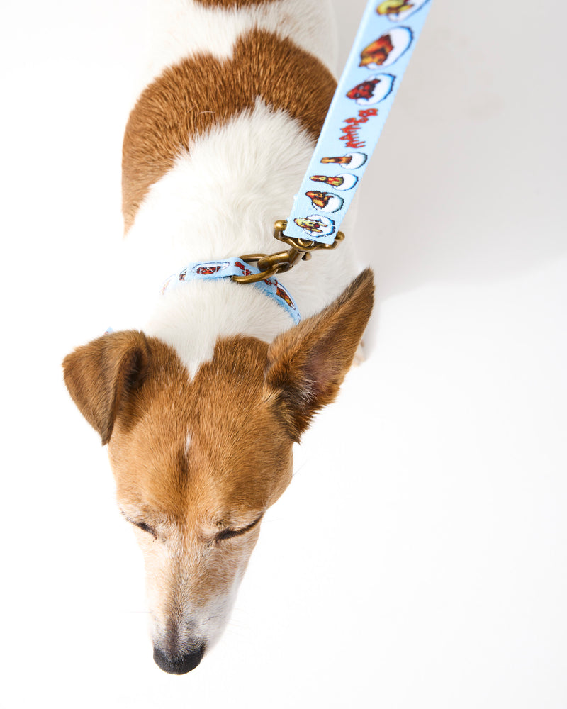 Kip&Co x Mambo Puppies Dog Collar