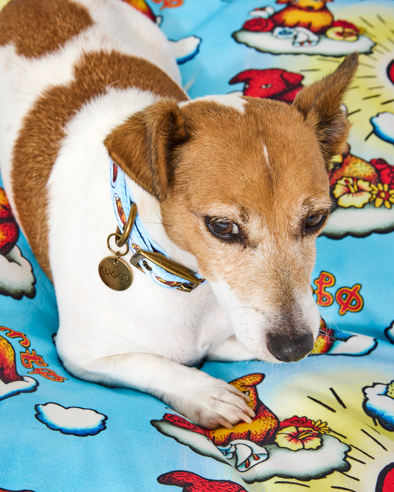 Kip&Co x Mambo Puppies Dog Collar