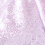 Lavendar Honey