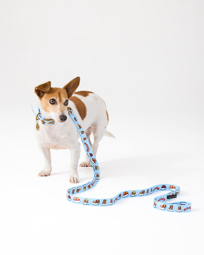 Kip&Co x Mambo Puppies Dog Lead