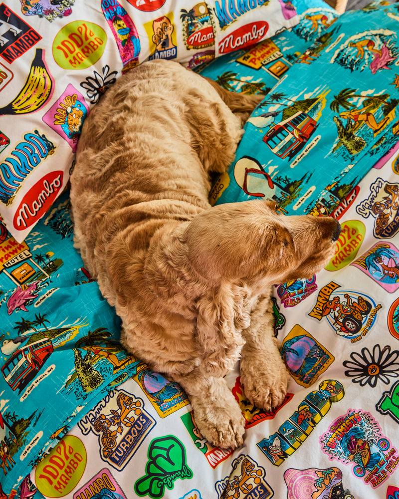 Kip&Co x Mambo Mambo World Organic Cotton Flat Sheet