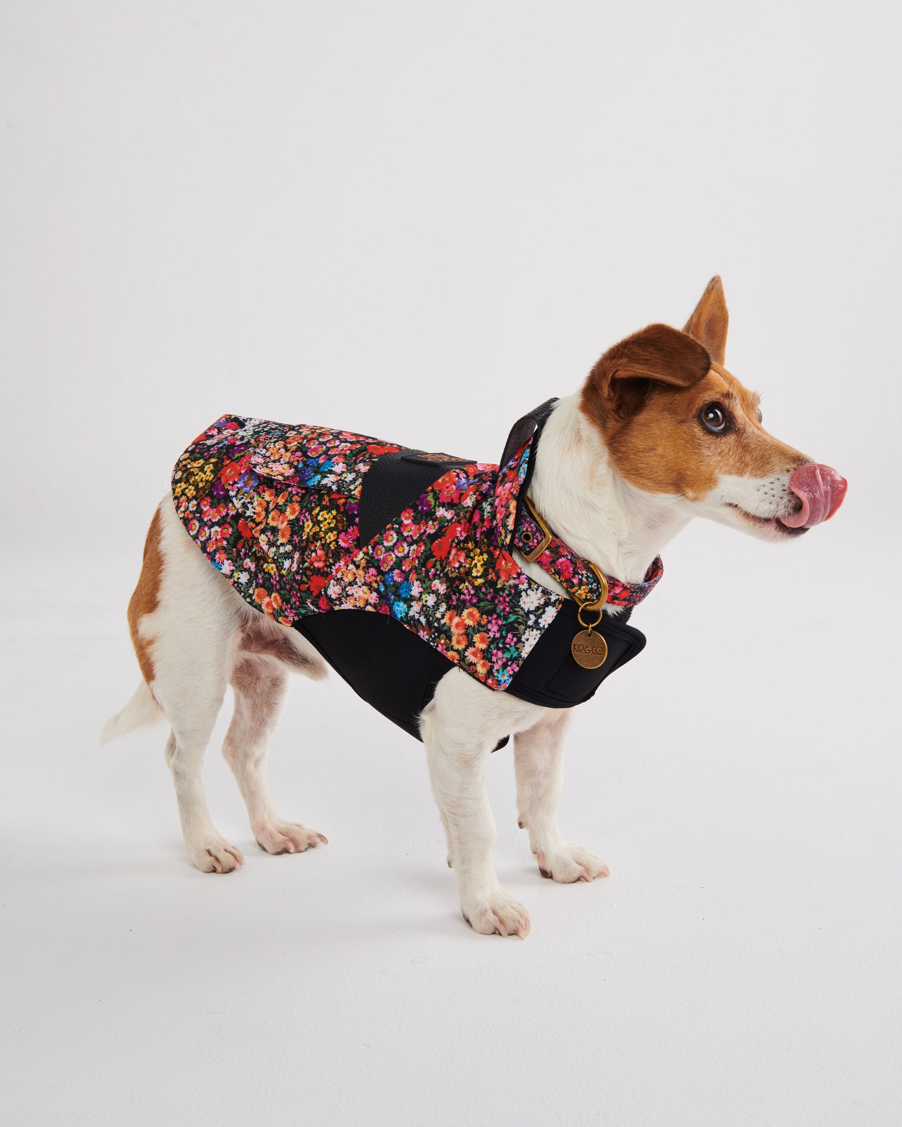 Dog Park Dog Jacket Kip Co