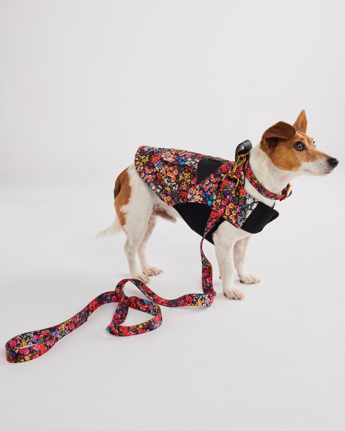 Forever Floral Black Dog Lead