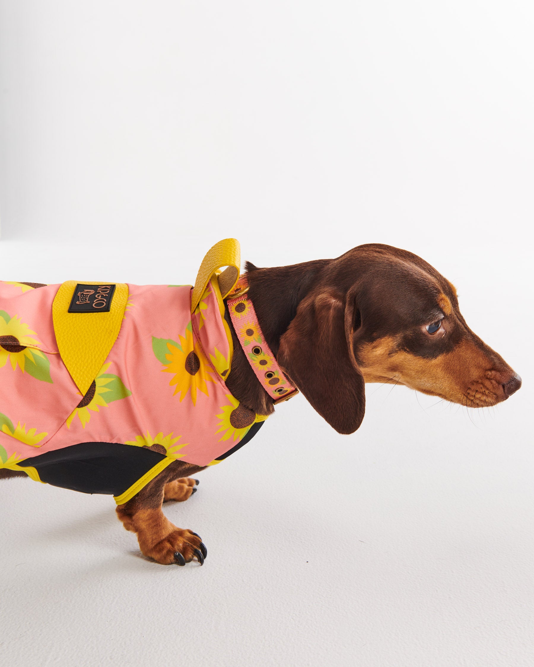 Sunflower Sunshine Dog Jacket Kip Co