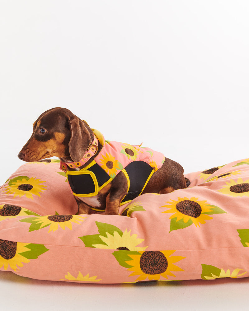 Sunflower Sunshine Dog Bed