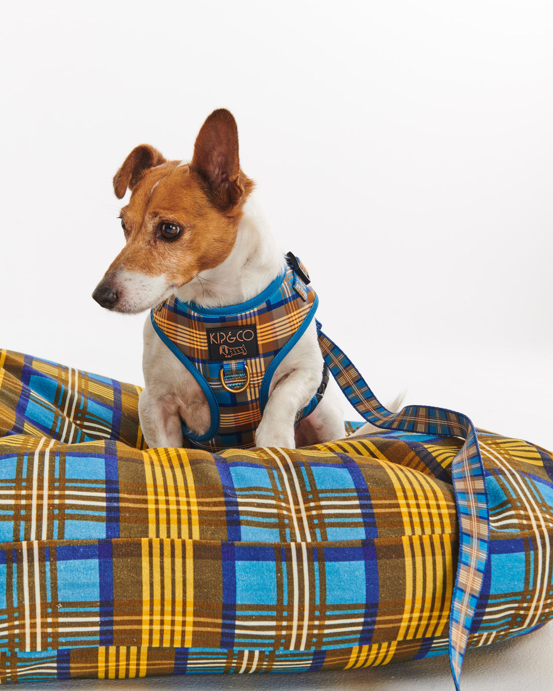 Cosy Tartan Dog Harness