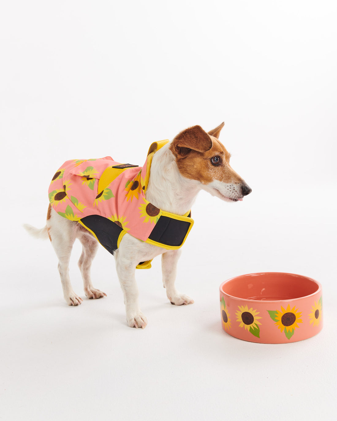 Sunflower Sunshine Dog Jacket