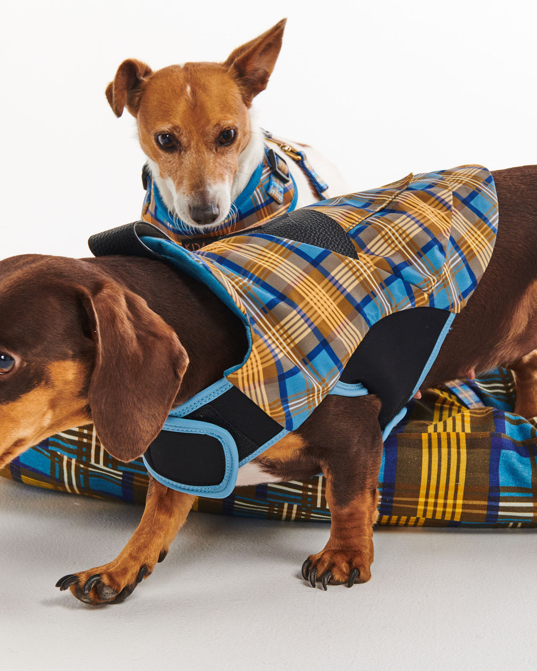 Cosy Tartan Dog Jacket