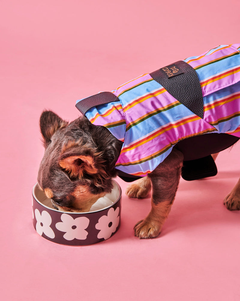 Flower Face Dog Bowl