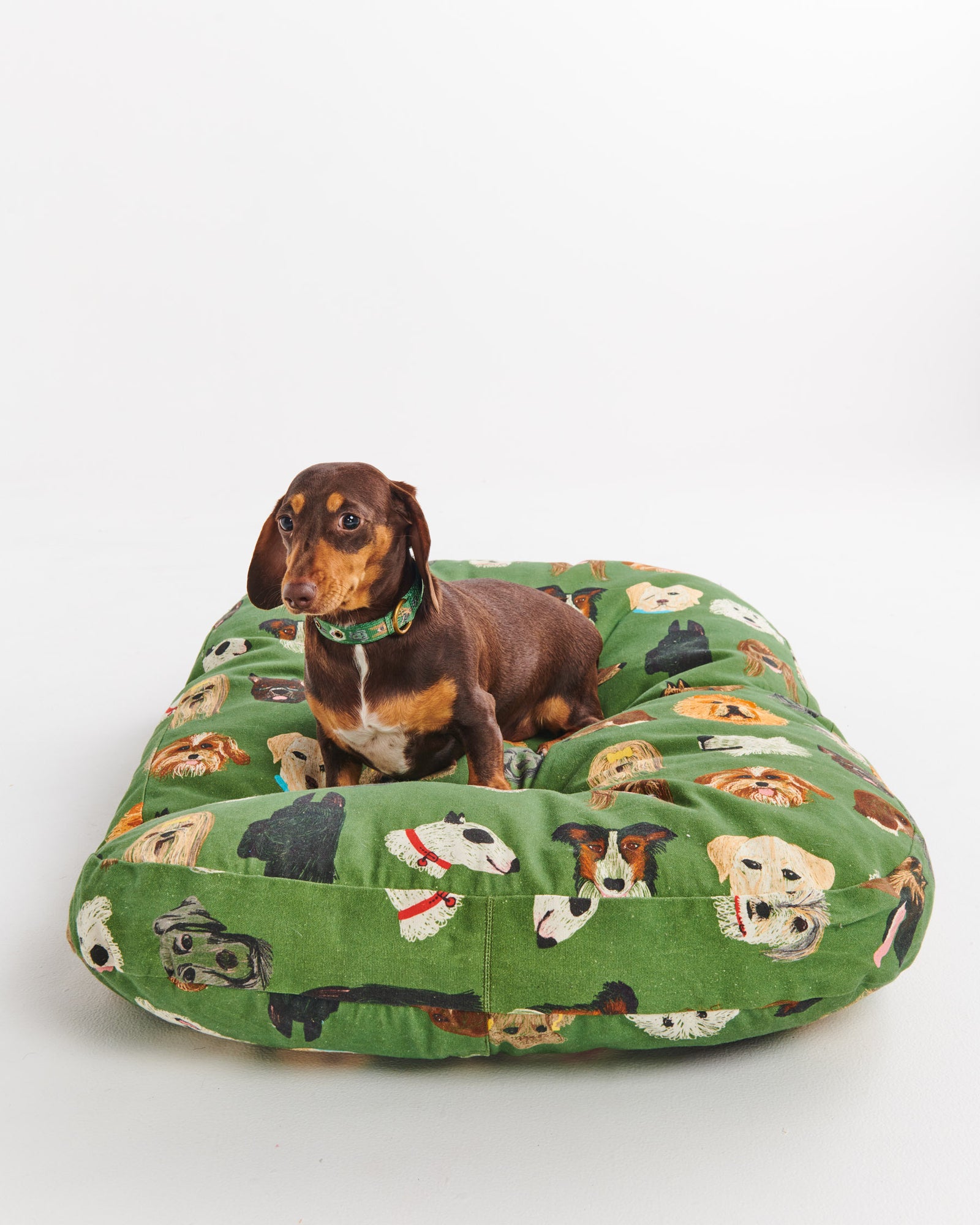 Fetch oasis rattan dog bed sale