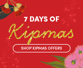 7 Days of Festive Offers