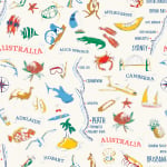 Aussie Road Trip iPad Pouch