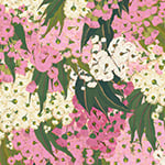 Australian Bush Blossom