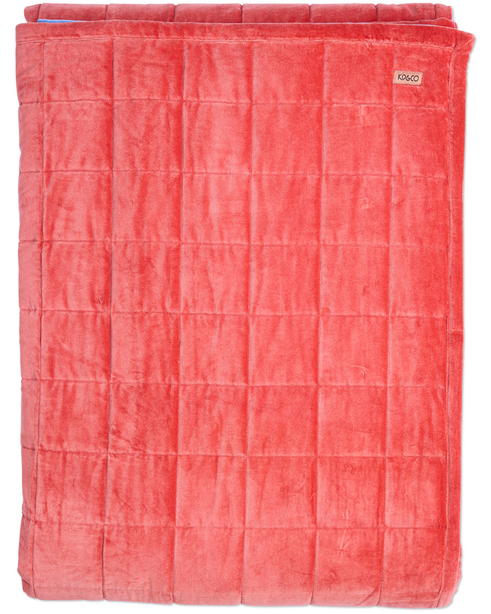 Blue Robin Velvet Quilted Bedspread