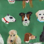 Dog Park Dog Harness