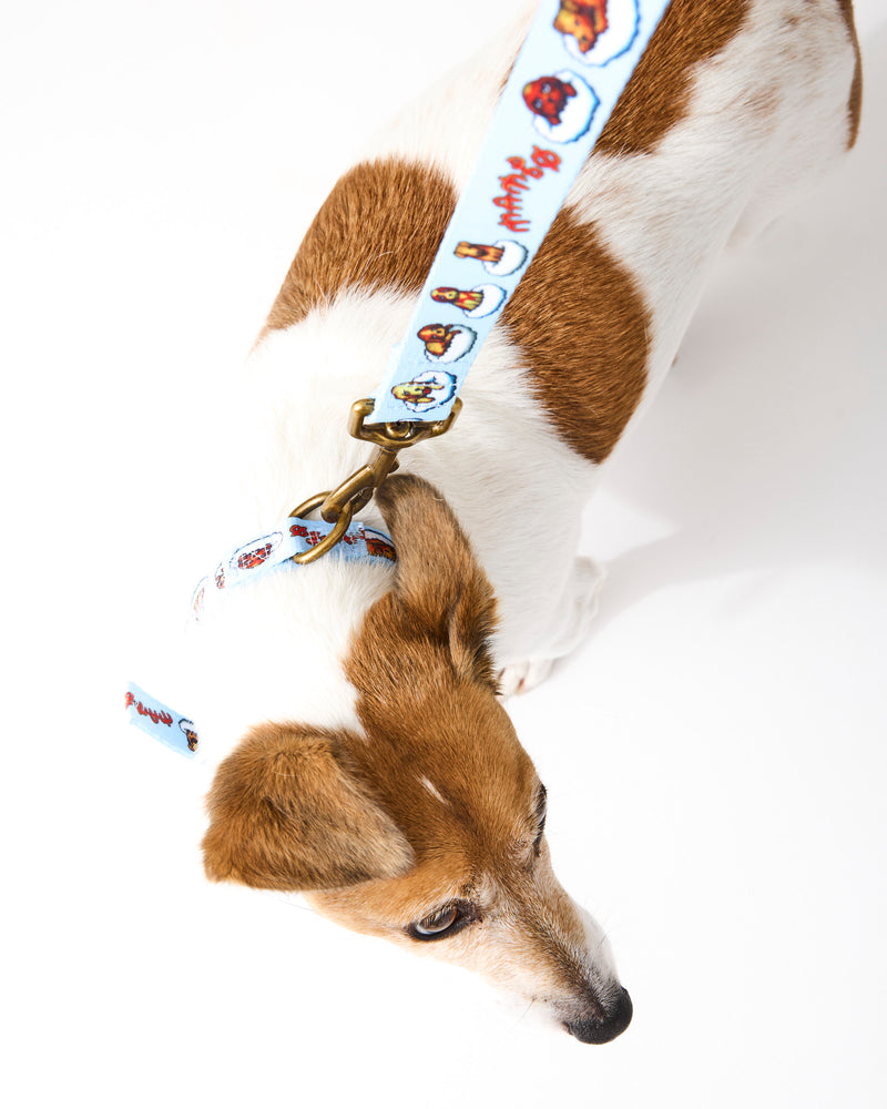 Kip&Co x Mambo Puppies Dog Lead