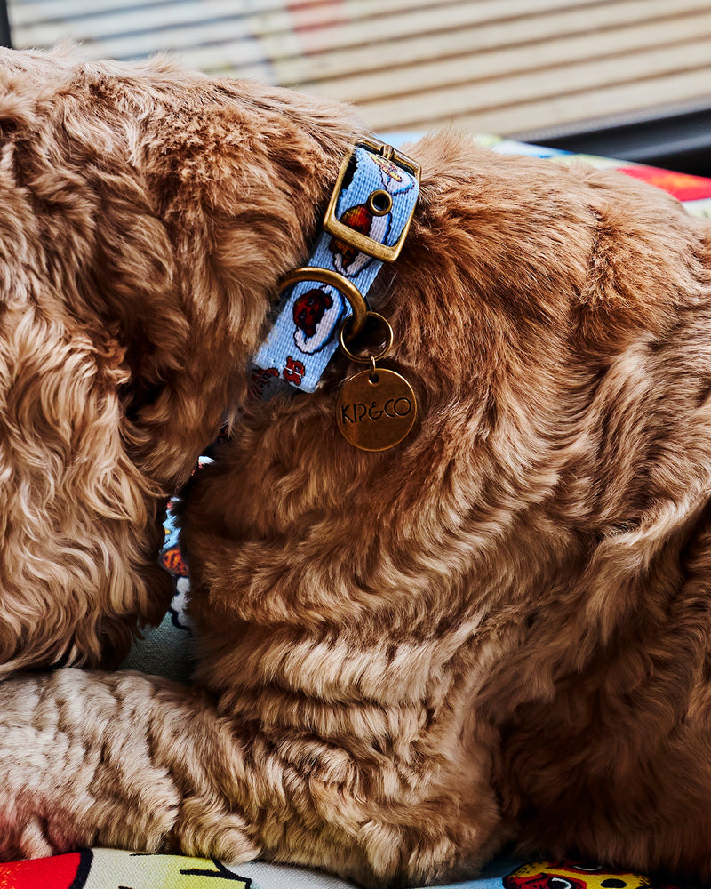 Kip&Co x Mambo Puppies Dog Collar