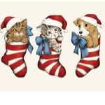 Festive Fur Babies Organic Cotton Pillowcase