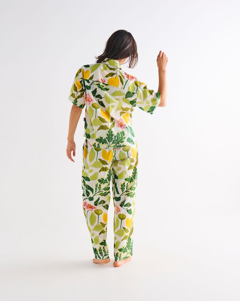 Wander Adult Organic Cotton Short Sleeve Shirt & Pant Pyjama Set