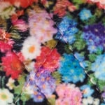 Forever Floral Black Dog Jacket