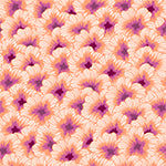 Hibiscus Peach