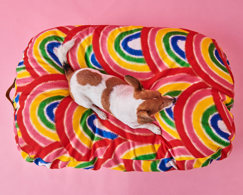 Rainbow Spray Dog Bed