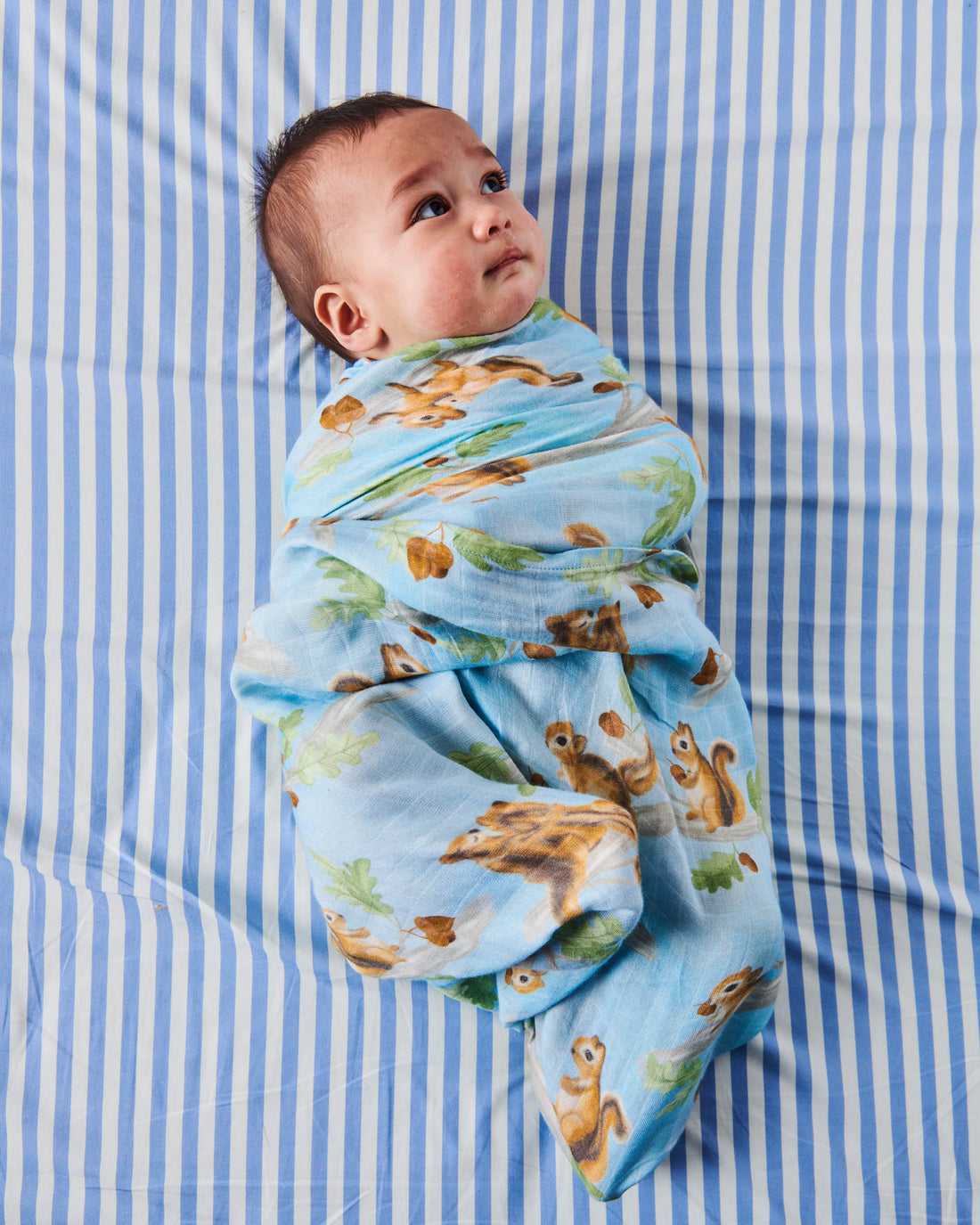 Squirrel Scurry Bamboo Swaddle