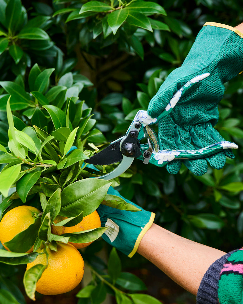 Tumbling Flowers Green Garden Secateurs and Gloves Set
