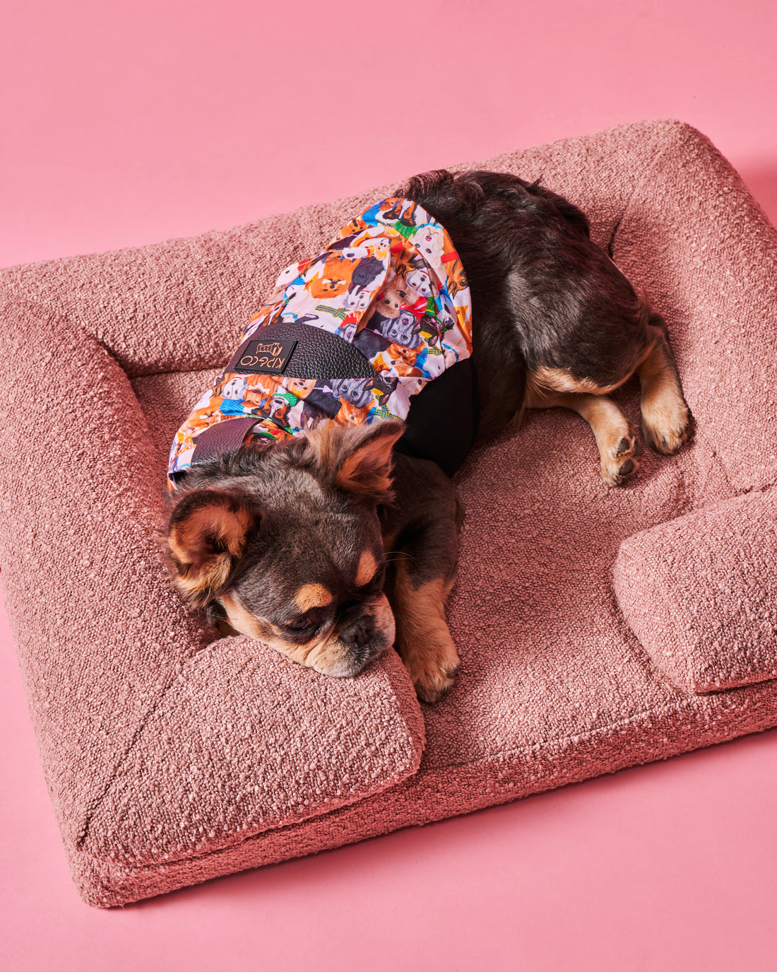 Polly Boucle Dog Bed