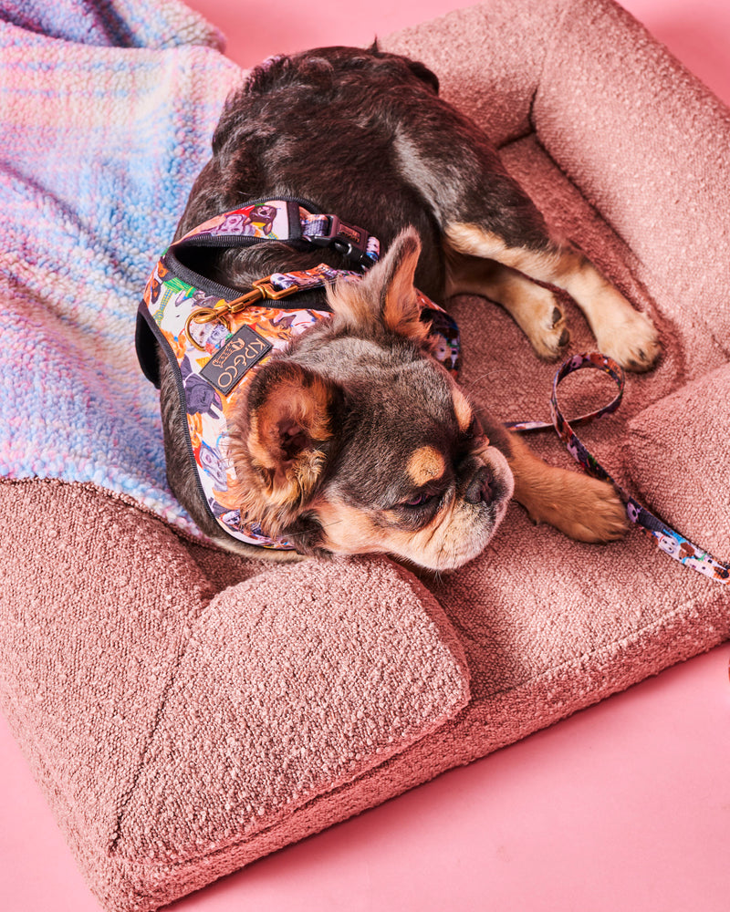Polly Boucle Sherpa Dog Blanket