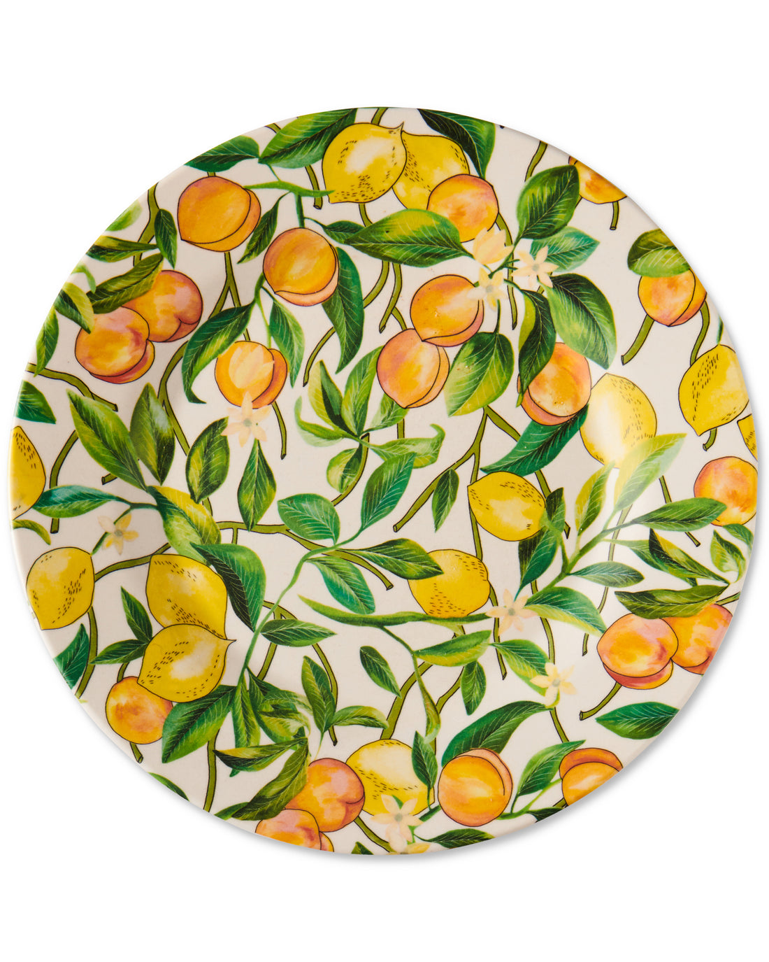 Zesty Dinner Plate 2P Set