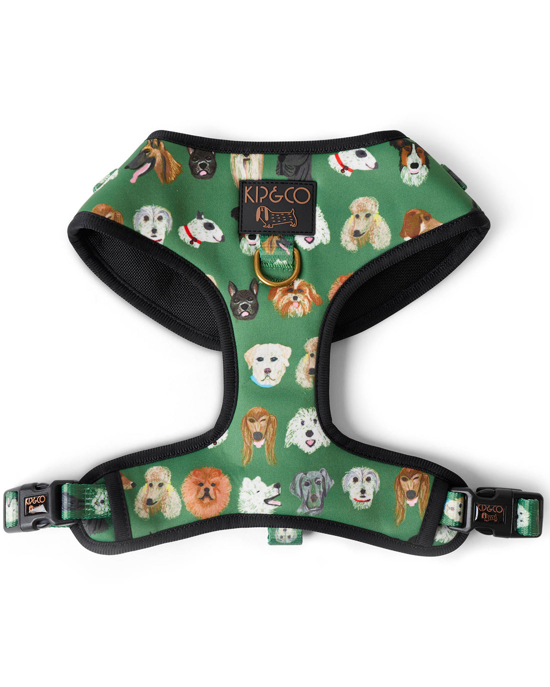 Dog Park Dog Harness