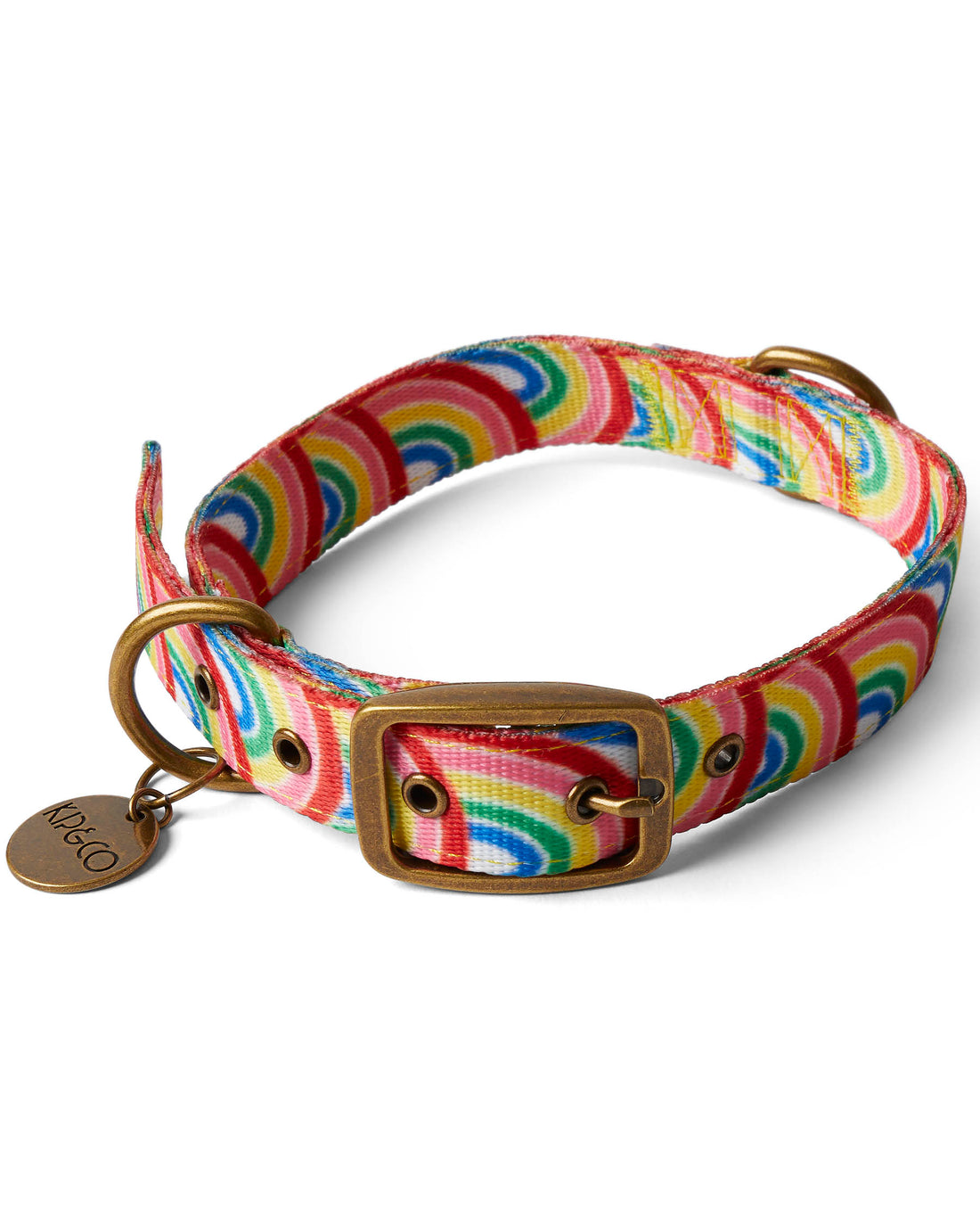 Rainbow Spray Dog Collar