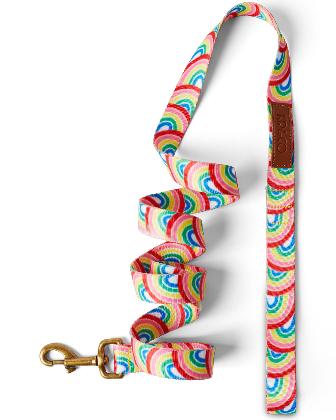 Rainbow Spray Dog Lead