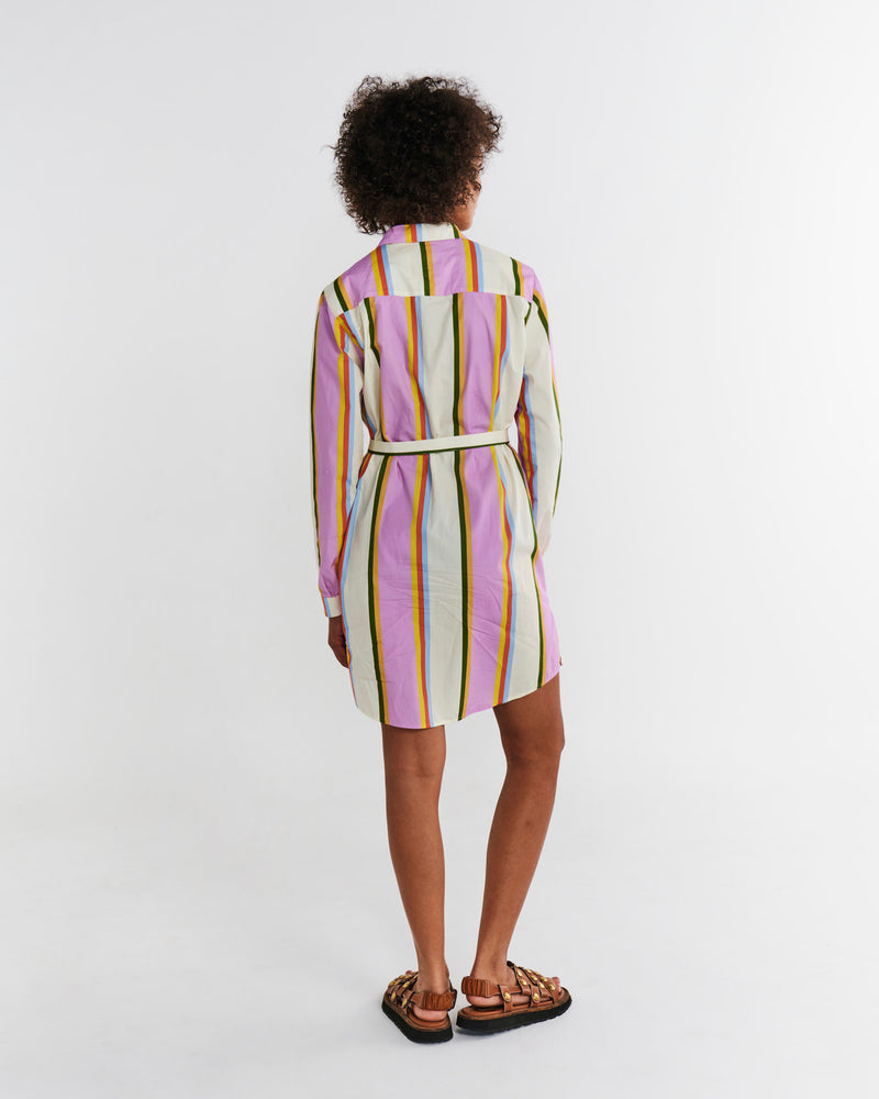 Fez Stripe Adult Sicilian Shirt Dress