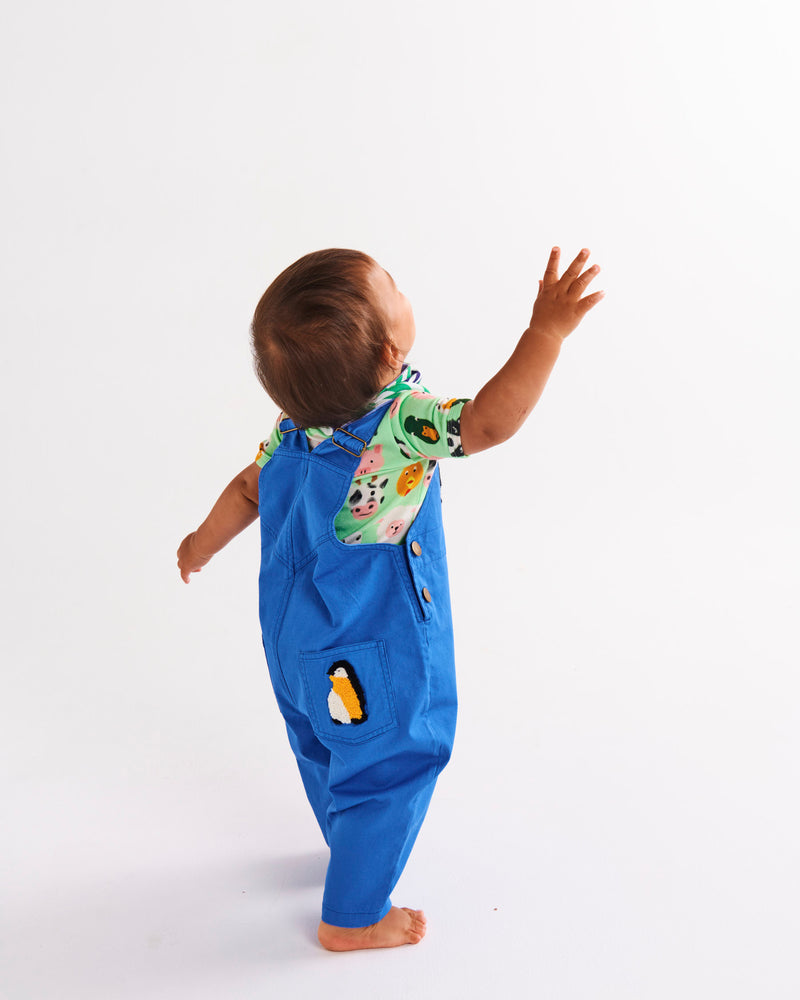 Arctic Circle Baby Cotton Drill Overalls