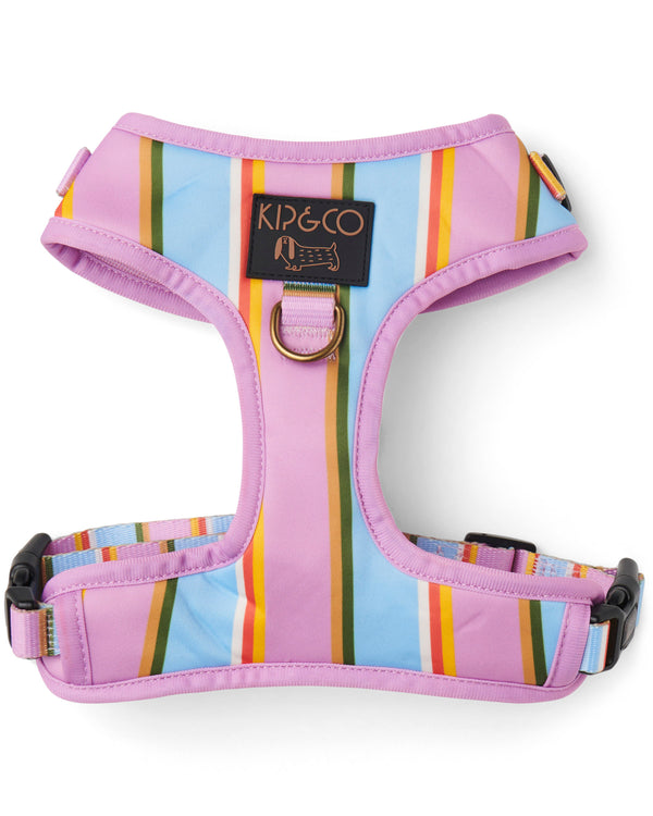 Fez Stripe Dog Harness