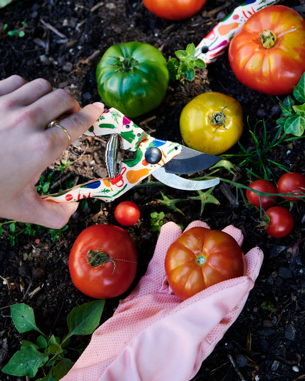 Kip&Co x Stephanie Alexander Stephanie's Harvest Garden Secateurs and Gloves Set