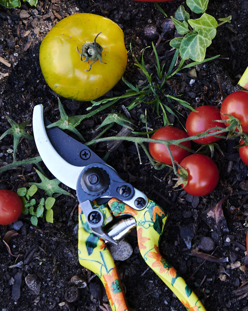 Passiona Garden Secateurs and Gloves Set