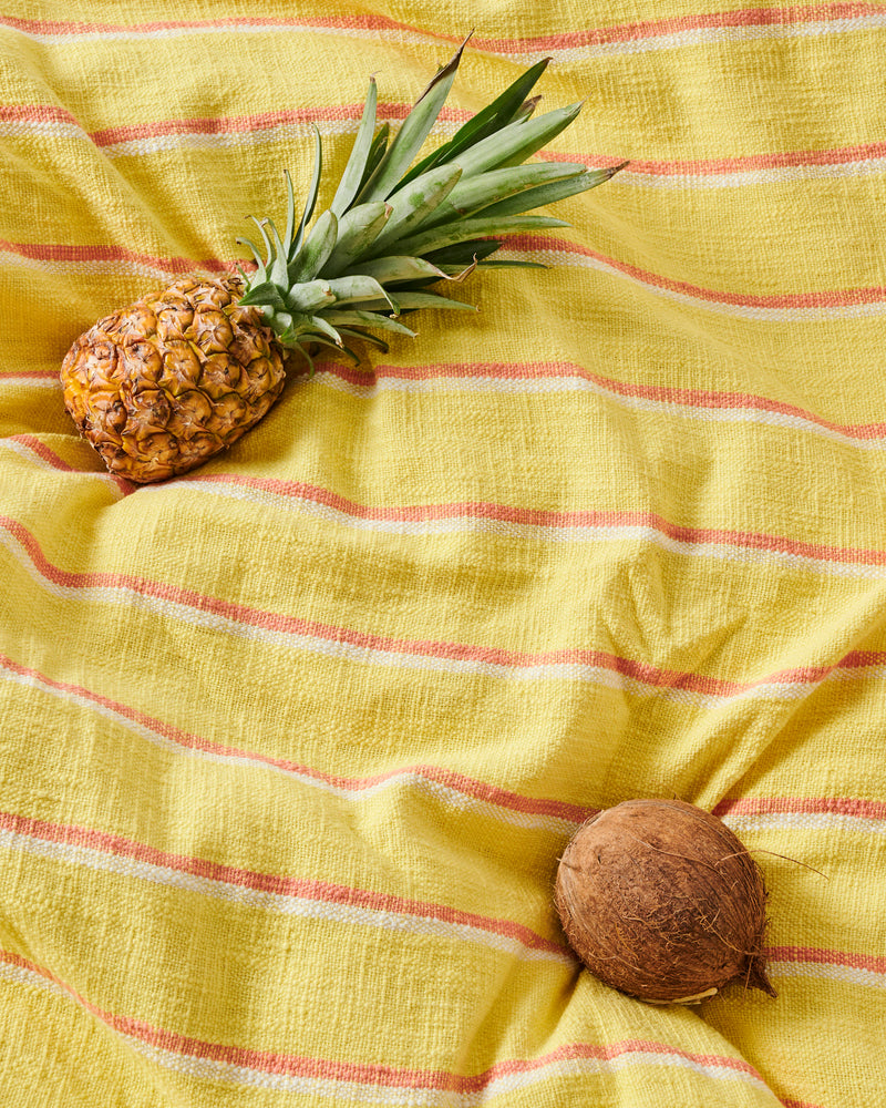 Pina Colada Stripe Woven Throw