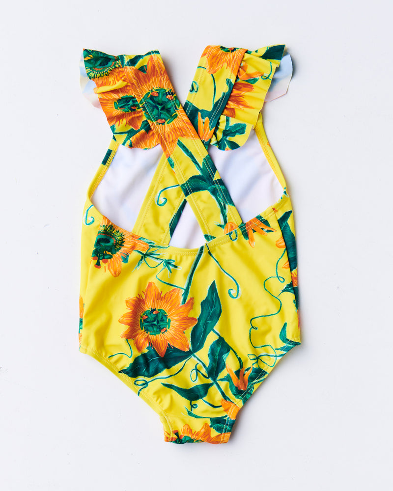 Passiona One Piece Bathers