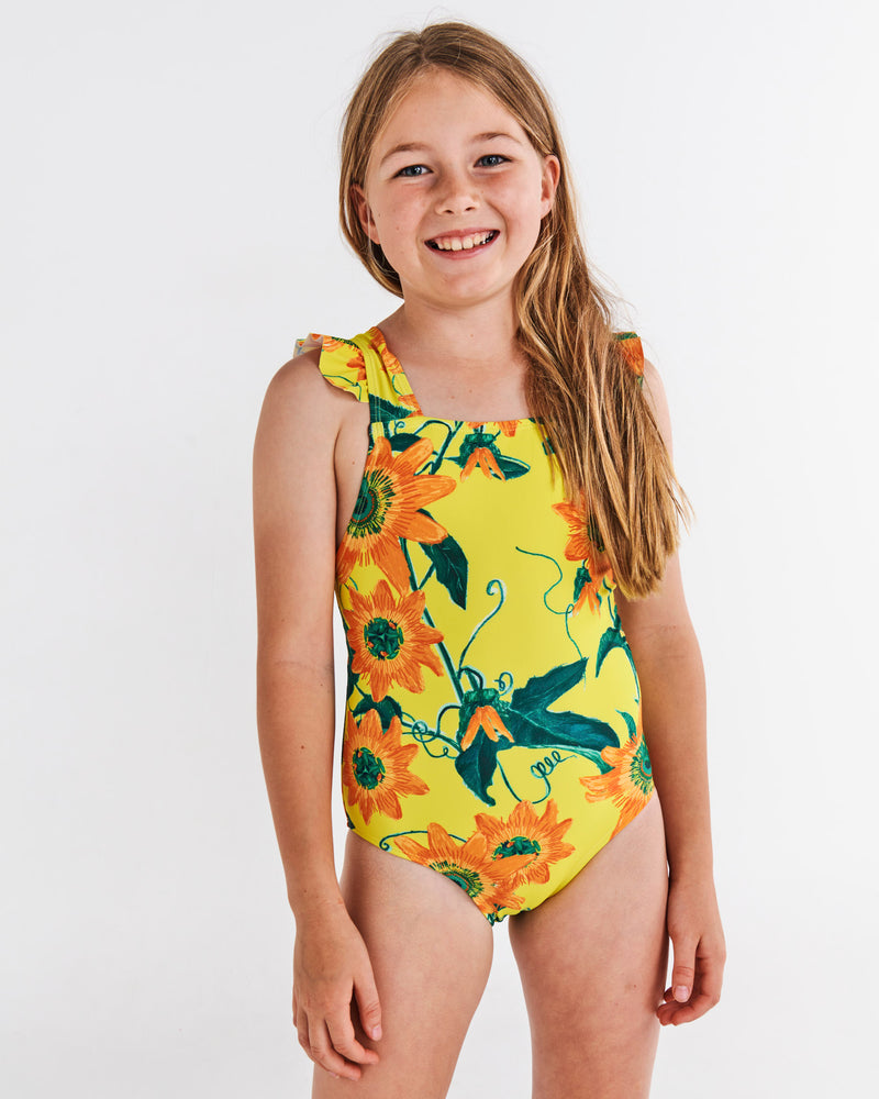 Passiona One Piece Bathers