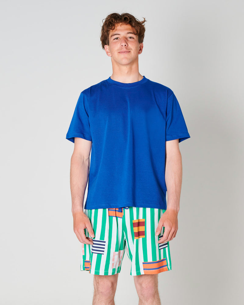 Stripe On Stripe Men's Organic Cotton Shorts & Tee Pyjama Set