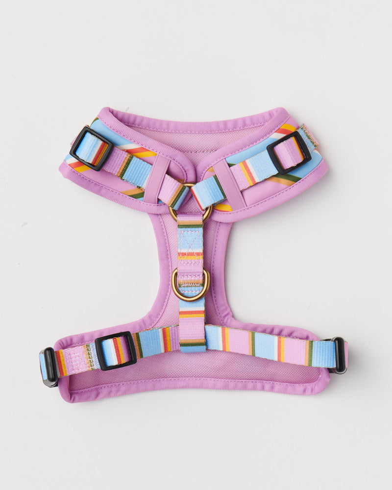 Fez Stripe Dog Harness