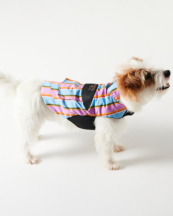 Fez Stripe Dog Jacket