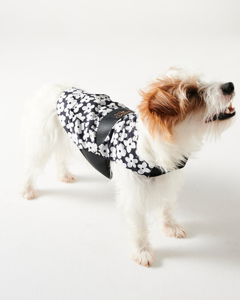 Flower Face Dog Jacket