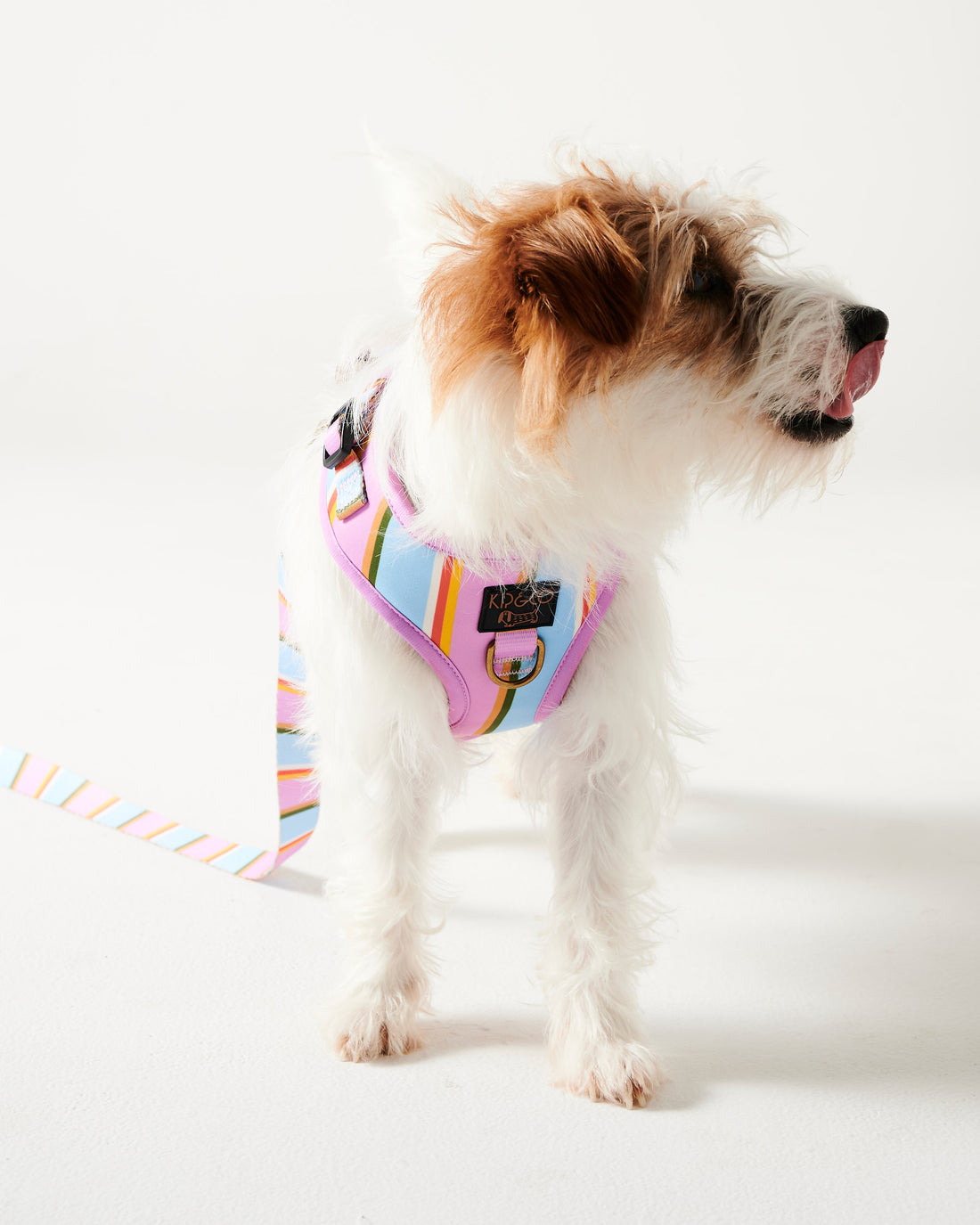 Fez Stripe Dog Harness